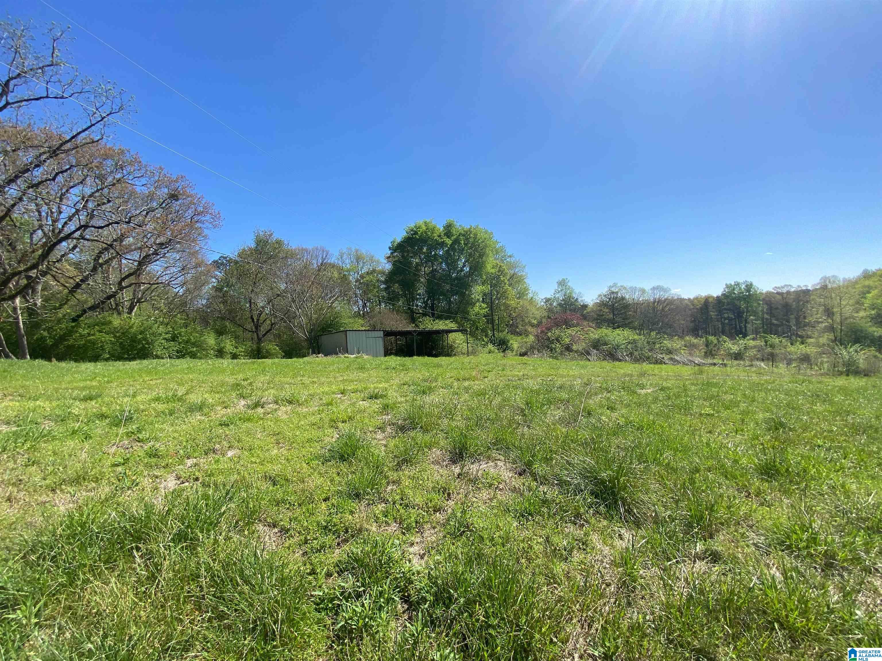 2590 Levine Road Odenville, AL 35120 - Photo 24 of 33