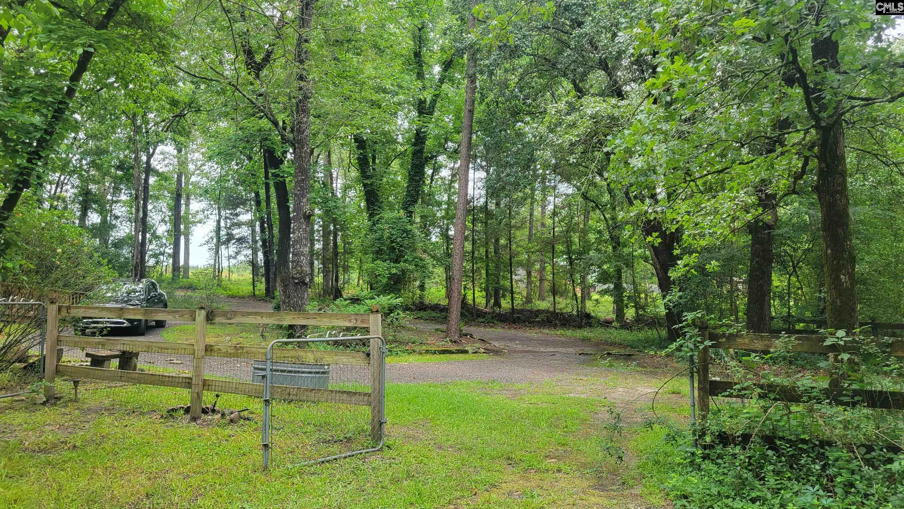 742 Elbert Taylor Road Gilbert, SC 29054 - Photo 20 of 66