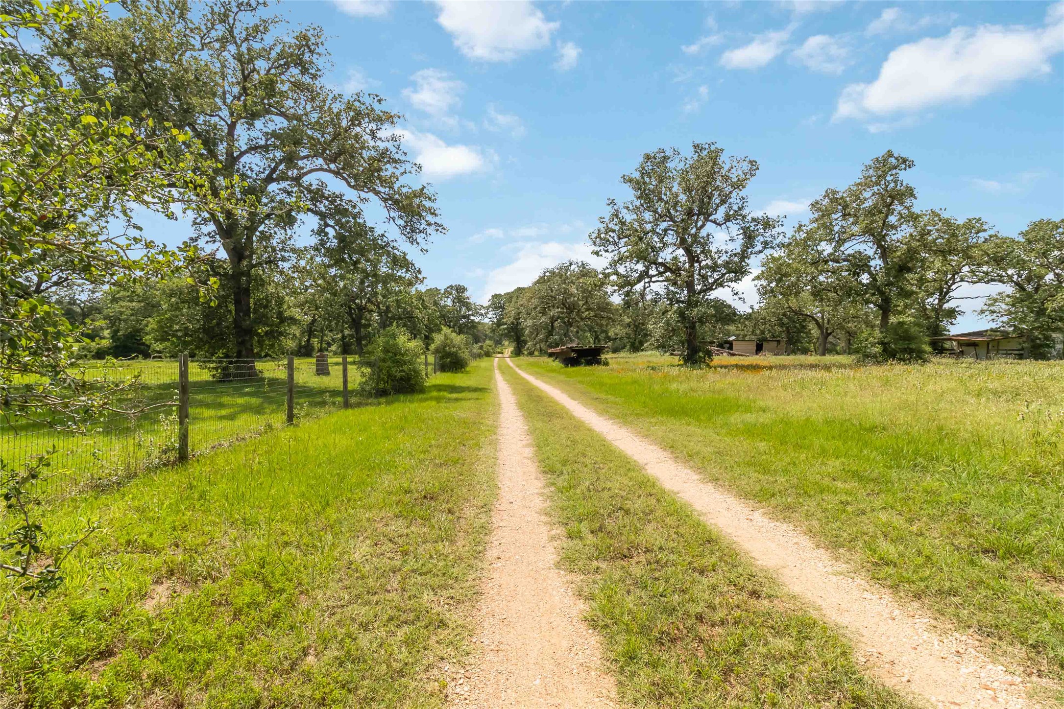 1208 Jeddo Road Rosanky, TX 78953 - Photo 36 of 40 A private driveway carves a path through the verdant landscape, inviting exploration of the expansive rural setting.