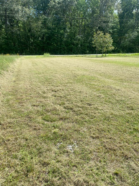 5217 Ragsdale Road Manchester, TN 37355 - Photo 2 of 9 a view of lake view