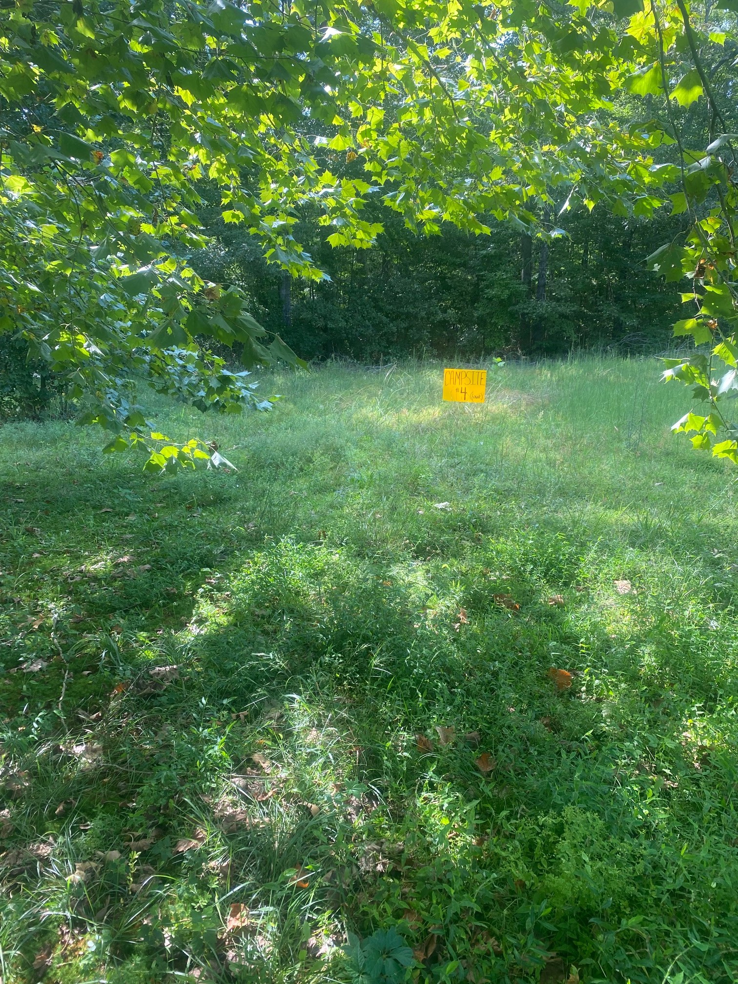 5217 Ragsdale Road Manchester, TN 37355 - Photo 3 of 9 a view of an outdoor space and a yard