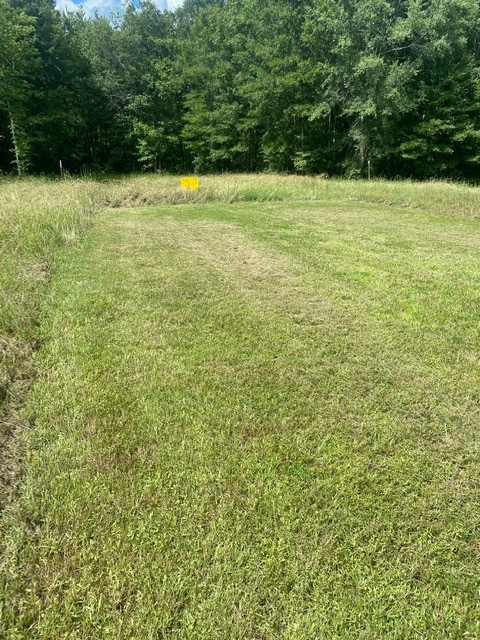 5217 Ragsdale Road Manchester, TN 37355 - Photo 5 of 9 a view of green field with trees in the background