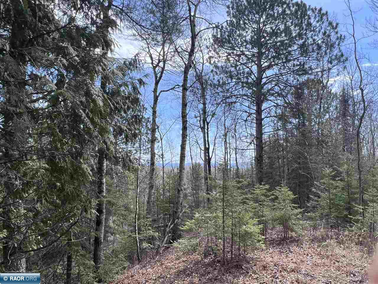 Two Press Camp Road Two Harbors, MN 55616 - Photo 26 of 34