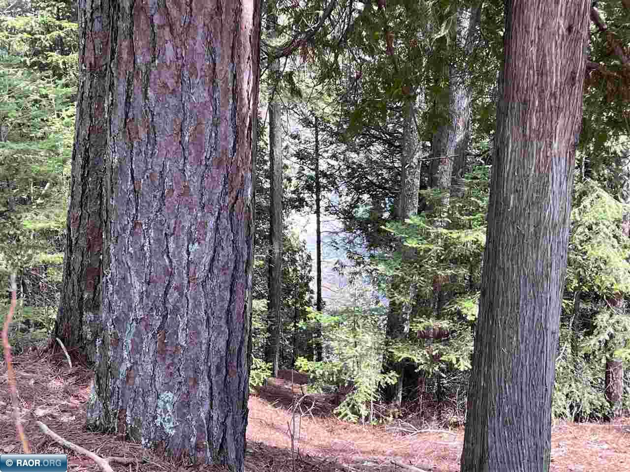Two Press Camp Road Two Harbors, MN 55616 - Photo 29 of 34