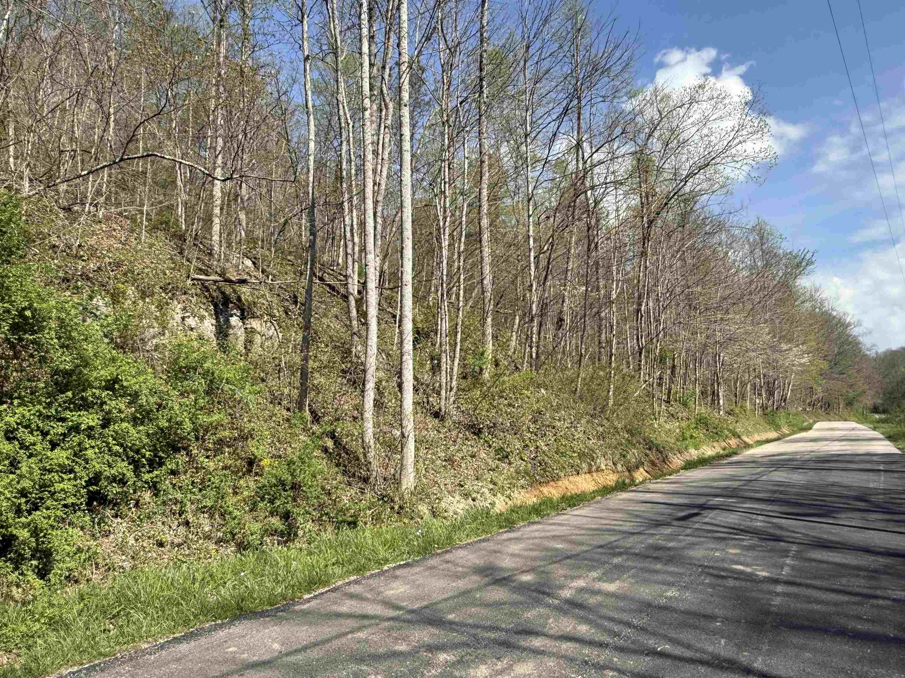 0 Brinegar Road Olive Hill, KY 40351 - Photo 10 of 10