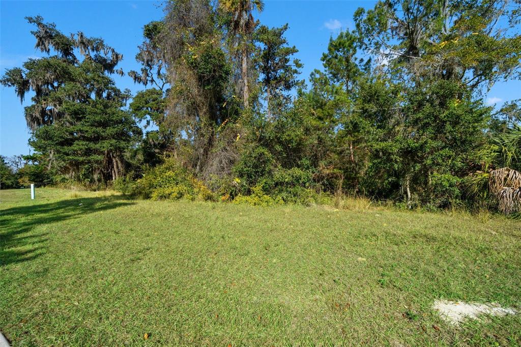 6633 Summit View Drive Brooksville, FL 34601 - Photo 11 of 16 a view of outdoor space with deck and yard