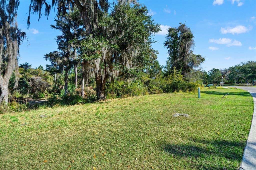 6633 Summit View Drive Brooksville, FL 34601 - Photo 12 of 16 a backyard of a house with lots of green space