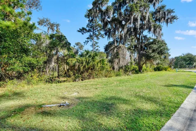 a view of outdoor space with deck and yard