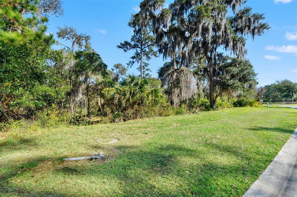6633 Summit View Drive Brooksville, FL 34601 - Photo 13 of 16 a backyard of a house with lots of green space