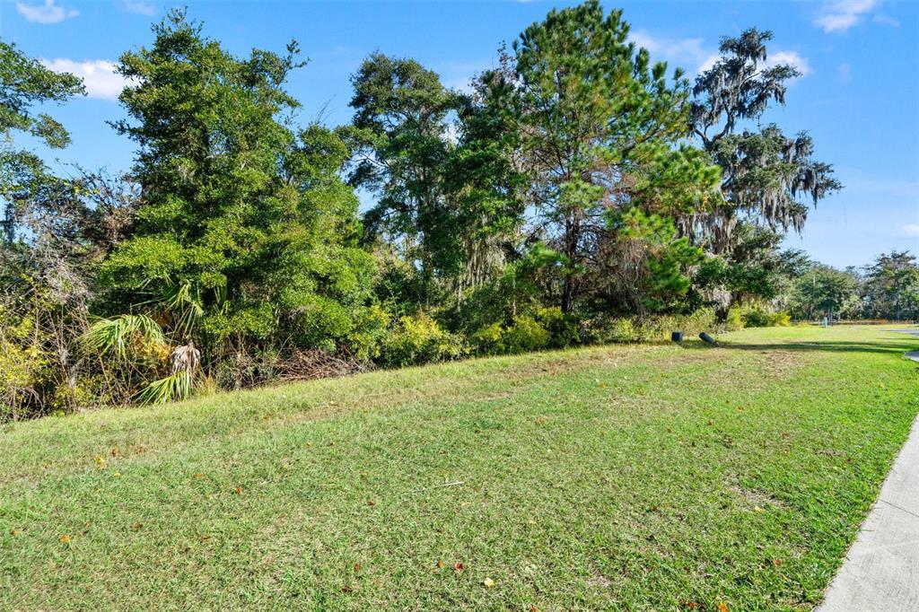 6633 Summit View Drive Brooksville, FL 34601 - Photo 14 of 16 a view of outdoor space with deck and yard