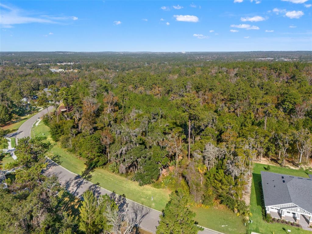 6633 Summit View Drive Brooksville, FL 34601 - Photo 15 of 16 a view of city and mountain