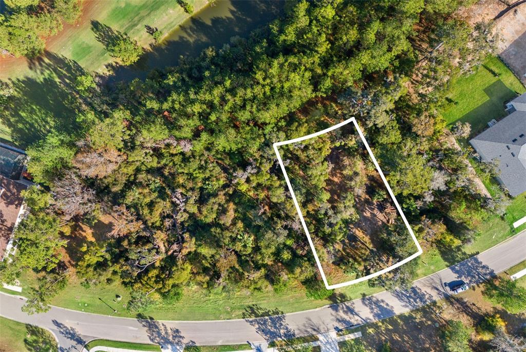 6633 Summit View Drive Brooksville, FL 34601 - Photo 5 of 16