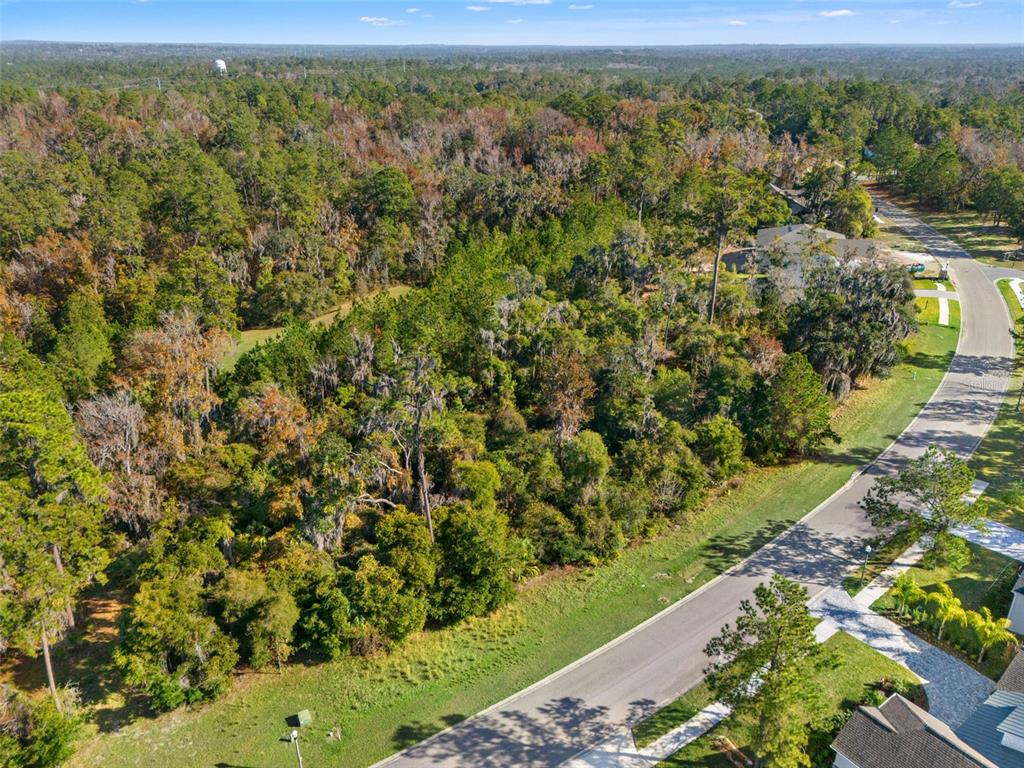 6633 Summit View Drive Brooksville, FL 34601 - Photo 6 of 16 a view of a yard with an outdoor space