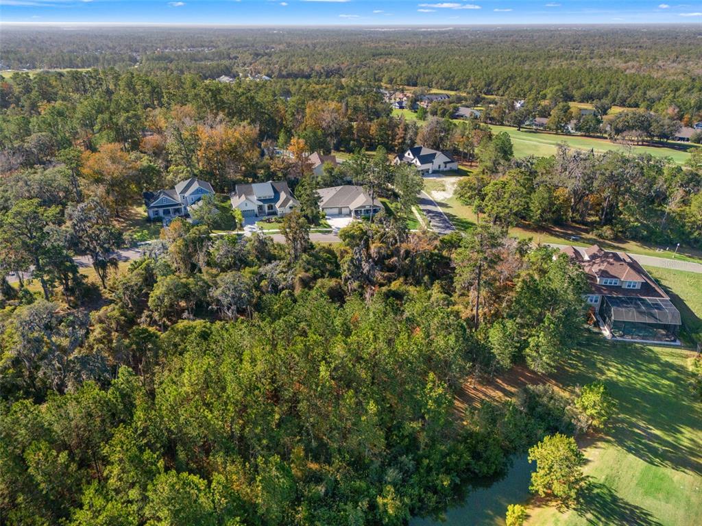6633 Summit View Drive Brooksville, FL 34601 - Photo 8 of 16 an aerial view of residential houses with outdoor space and trees