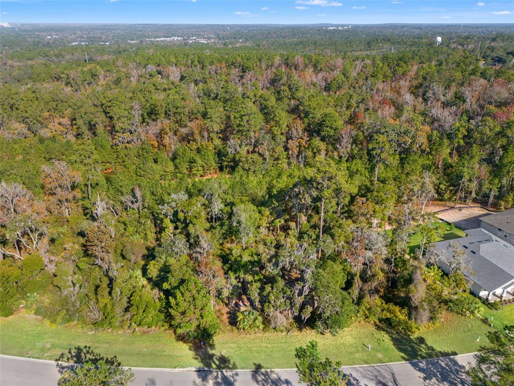 6633 Summit View Drive Brooksville, FL 34601 - Photo 10 of 16 a view of a yard with an outdoor seating