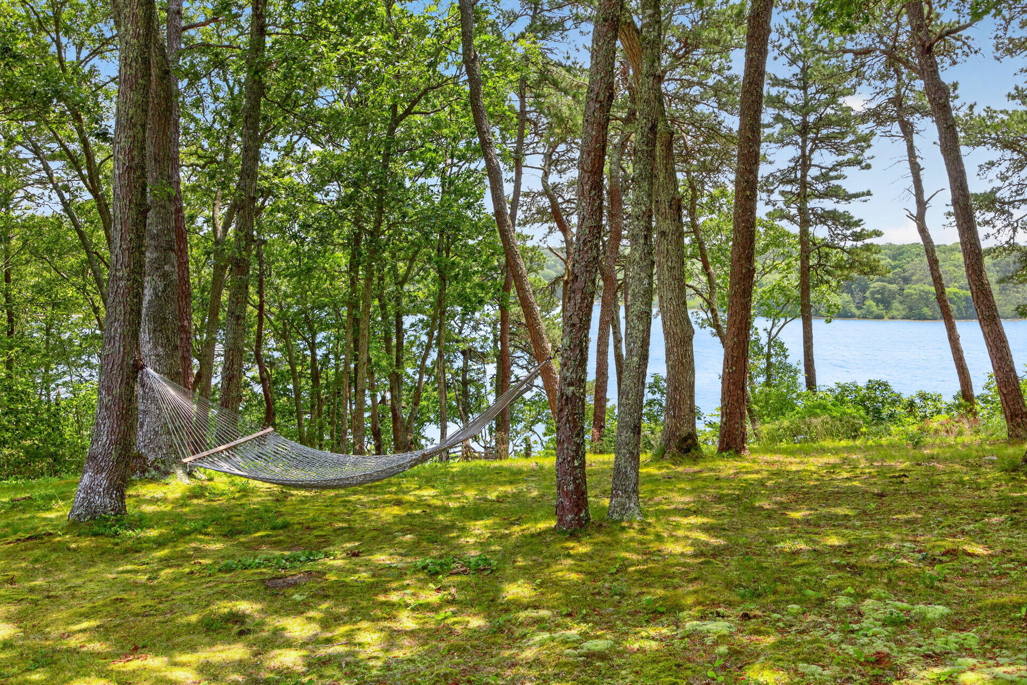 674 Crowells Bog Road Brewster, MA 02631 - Photo 49 of 55 49-49-9L4A6249