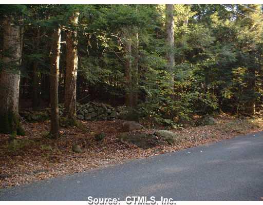 80 Millbrook Road Colebrook, CT 06021 - Photo 1 of 1 a view of a forest with a house