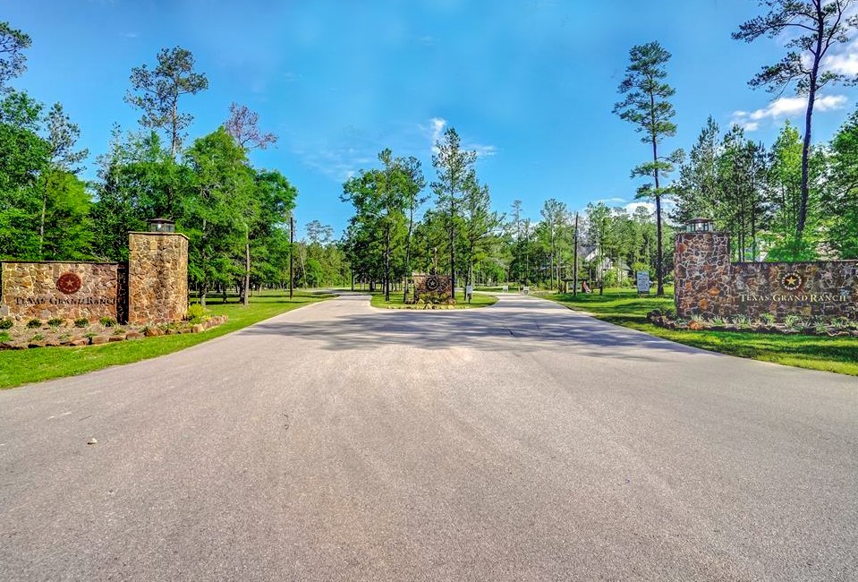 5-6-230 Dipping Vat Road Huntsville, TX 77340 - Photo 11 of 24 a backyard of a house with lots of green space