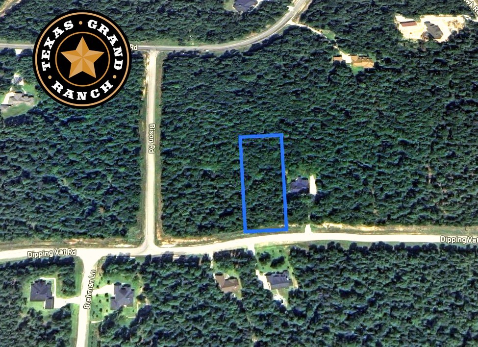 5-6-230 Dipping Vat Road Huntsville, TX 77340 - Photo 4 of 24 a view of a wooden door with a tree in a yard