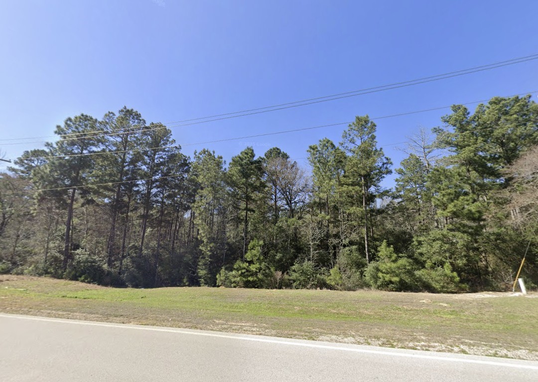 5-6-230 Dipping Vat Road Huntsville, TX 77340 - Photo 7 of 24 a view of a field