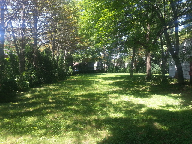 1352 East Lincoln Ave  