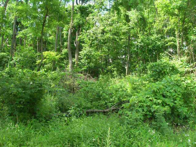 160506 Southeast Flint Ridge Road Newark, OH 43056 - Photo 2 of 4