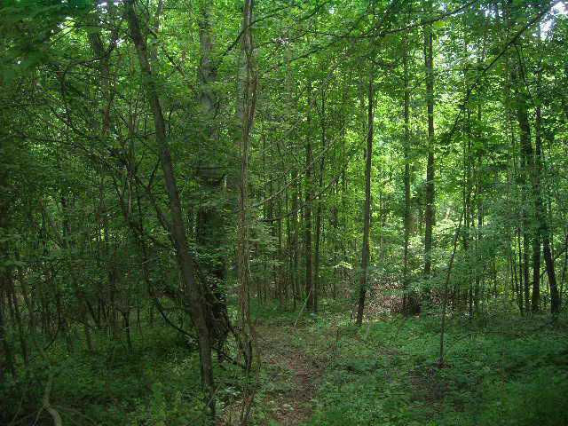 160506 Southeast Flint Ridge Road Newark, OH 43056 - Photo 3 of 4