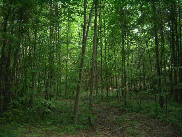 160506 Southeast Flint Ridge Road Newark, OH 43056 - Photo 4 of 4
