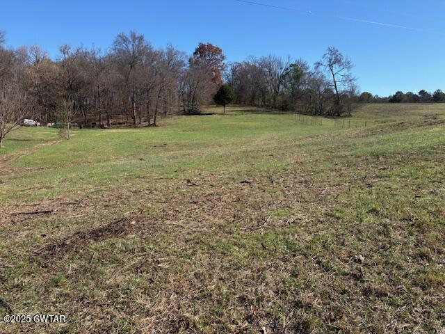 0 Booth Trenton, TN 38382 - Photo 1 of 1 a view of a field with an trees