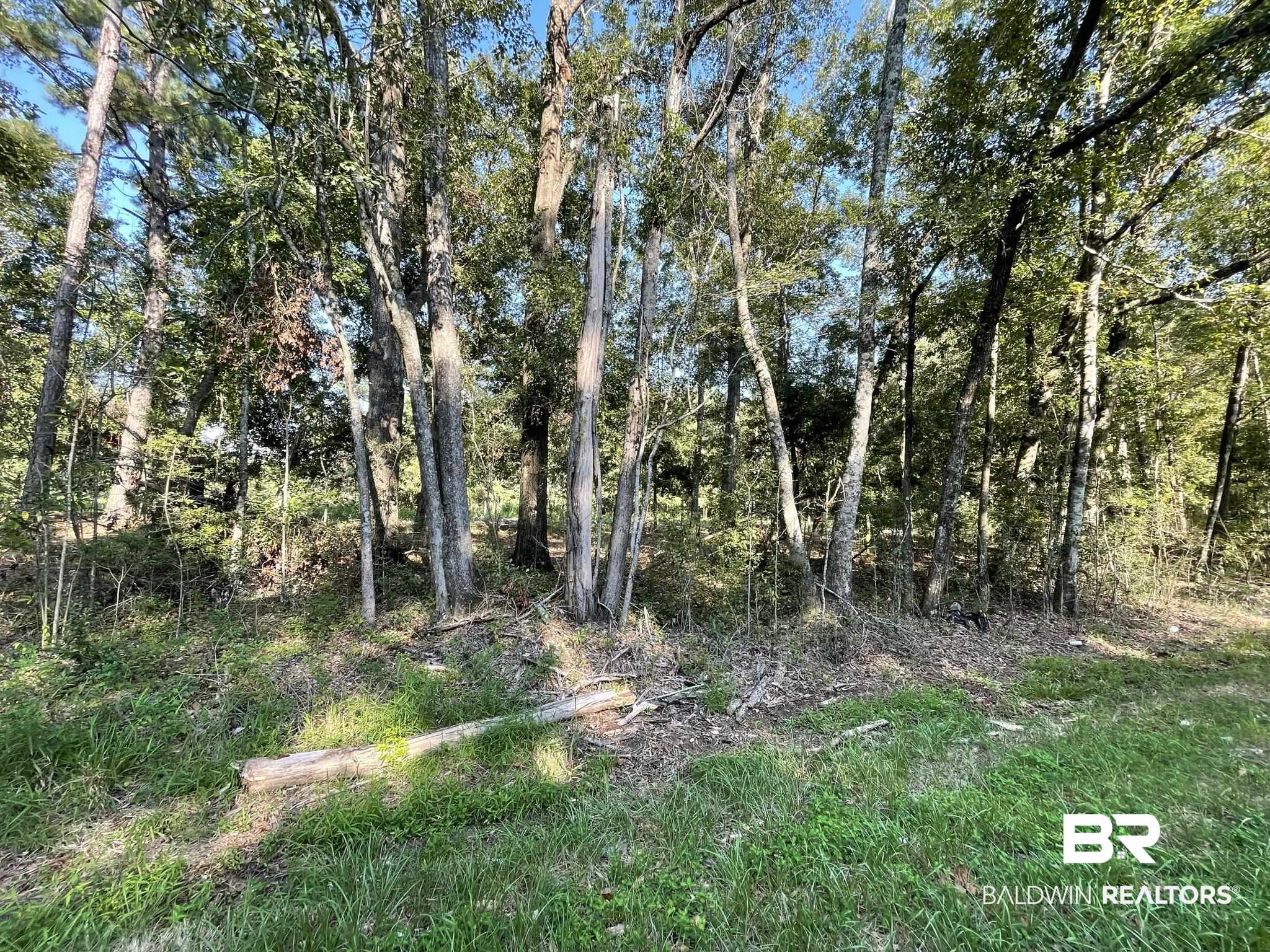 0 Rockhill Road Bay Minette, AL 36507 - Photo 23 of 32