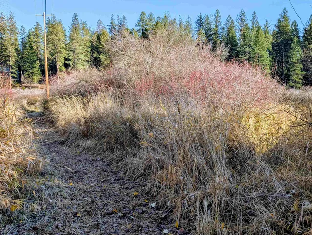 $465,000 | 26310 North River Estates Drive, Chattaroy, WA 99003