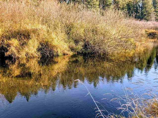 $465,000 | 26310 North River Estates Drive, Chattaroy, WA 99003