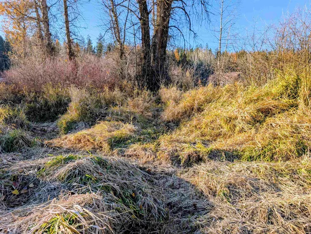 $465,000 | 26310 North River Estates Drive, Chattaroy, WA 99003