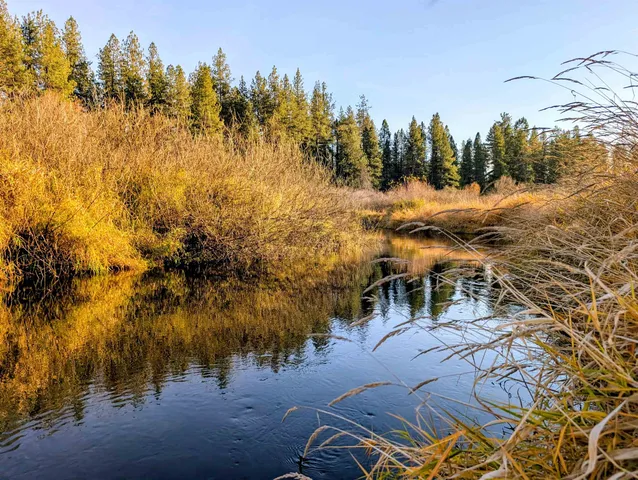 $465,000 | 26310 North River Estates Drive, Chattaroy, WA 99003