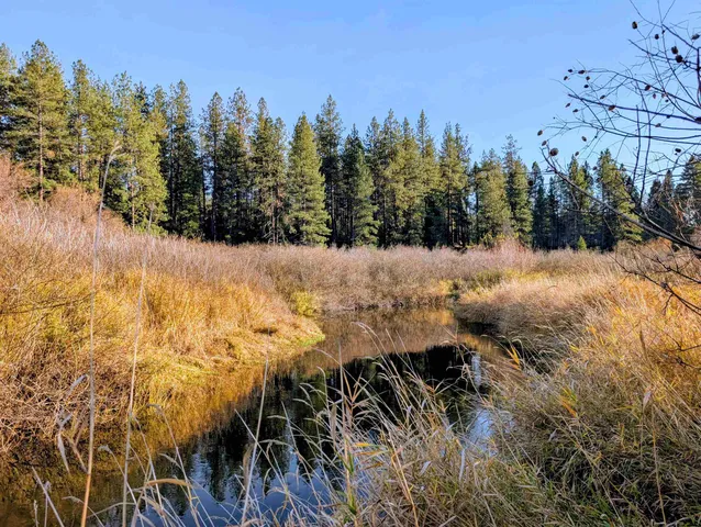 $465,000 | 26310 North River Estates Drive, Chattaroy, WA 99003