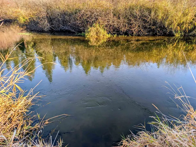 $465,000 | 26310 North River Estates Drive, Chattaroy, WA 99003