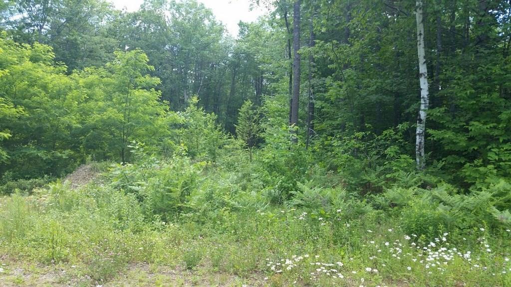 Tbd Pinewood Road Jay, ME 04239 - Photo 2 of 6 Photo