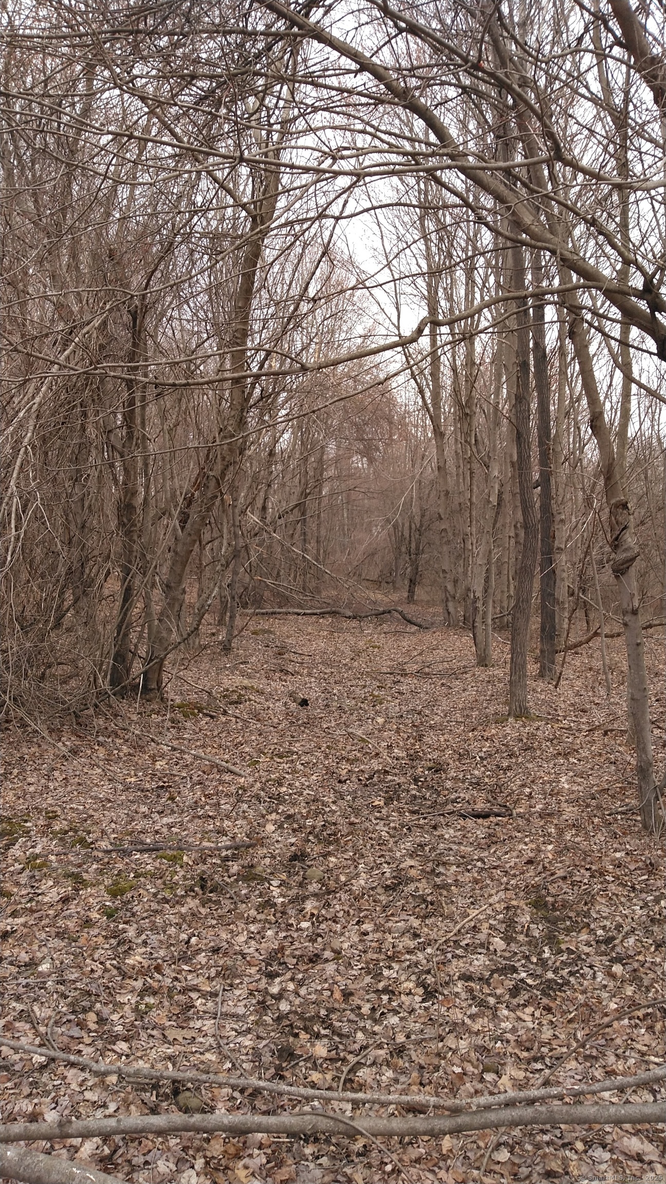 Highland Avenue Torrington, CT 06790 - Photo 2 of 3
