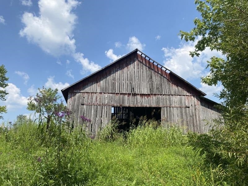 Ac Dry Creek Road Columbia, KY 42728 - Photo 13 of 17 Gallery Image 13