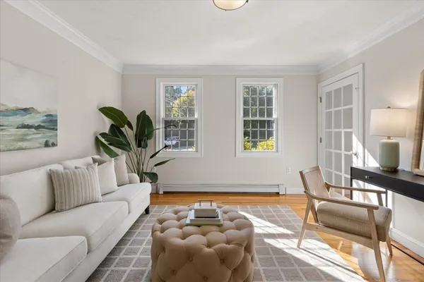 a living room with furniture and a potted plant