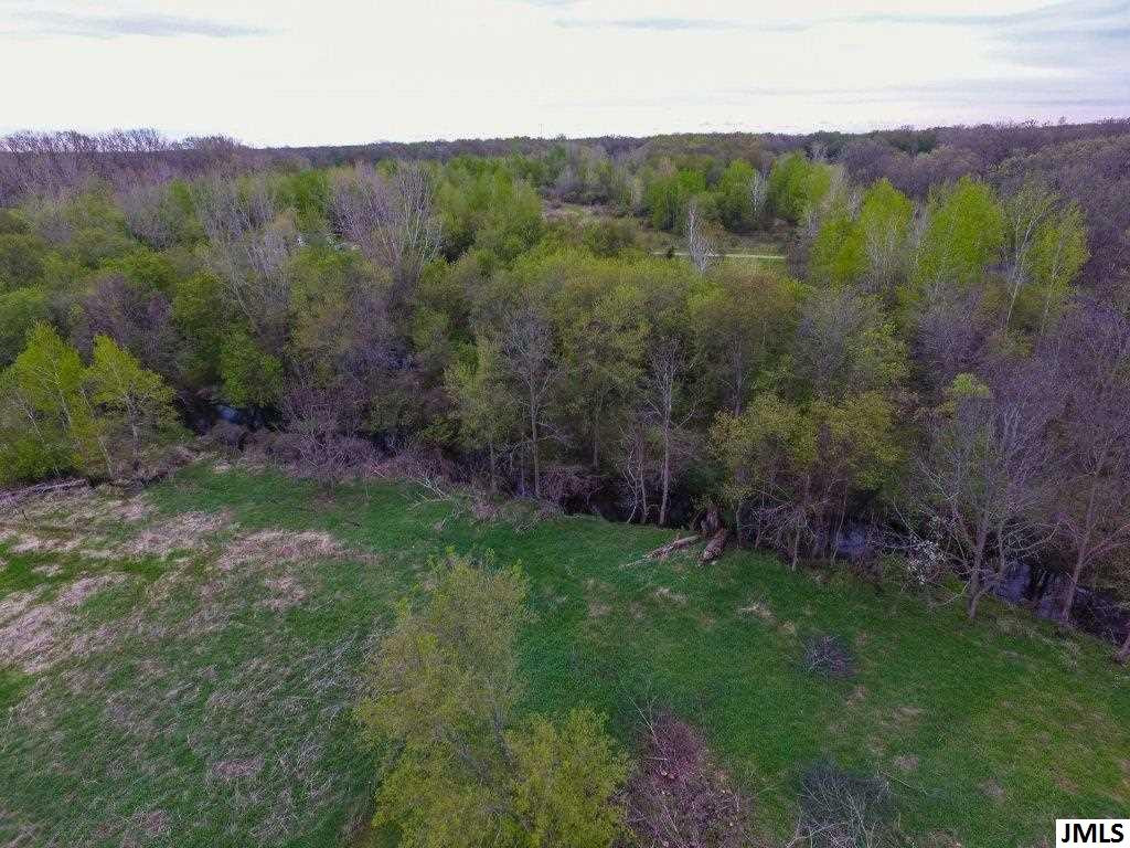 0 South Williams Road Leslie, MI 49285 - Photo 6 of 9 Photo 6