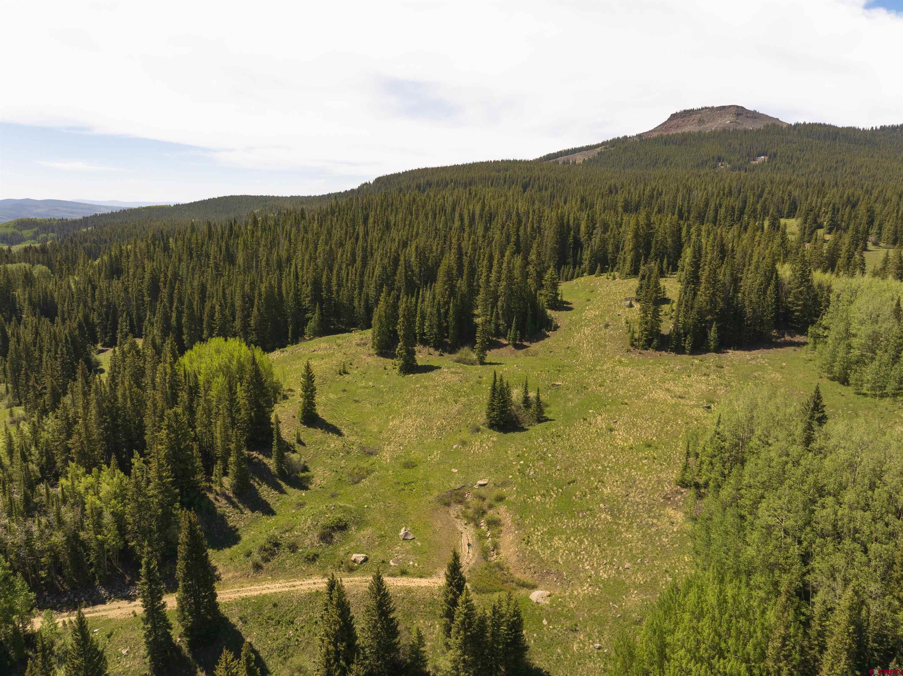 1371 Red Mountain Ranch Road Crested Butte, CO 81224 - Photo 8 of 41