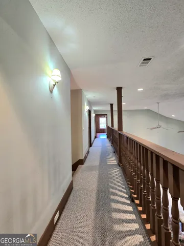 a view of a yard with plants and large trees