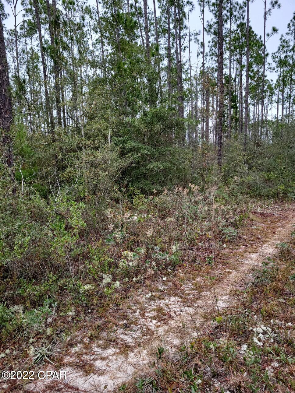13617 Rollohome Road Fountain, FL 32438 - Photo 2 of 5 Gallery Image 2