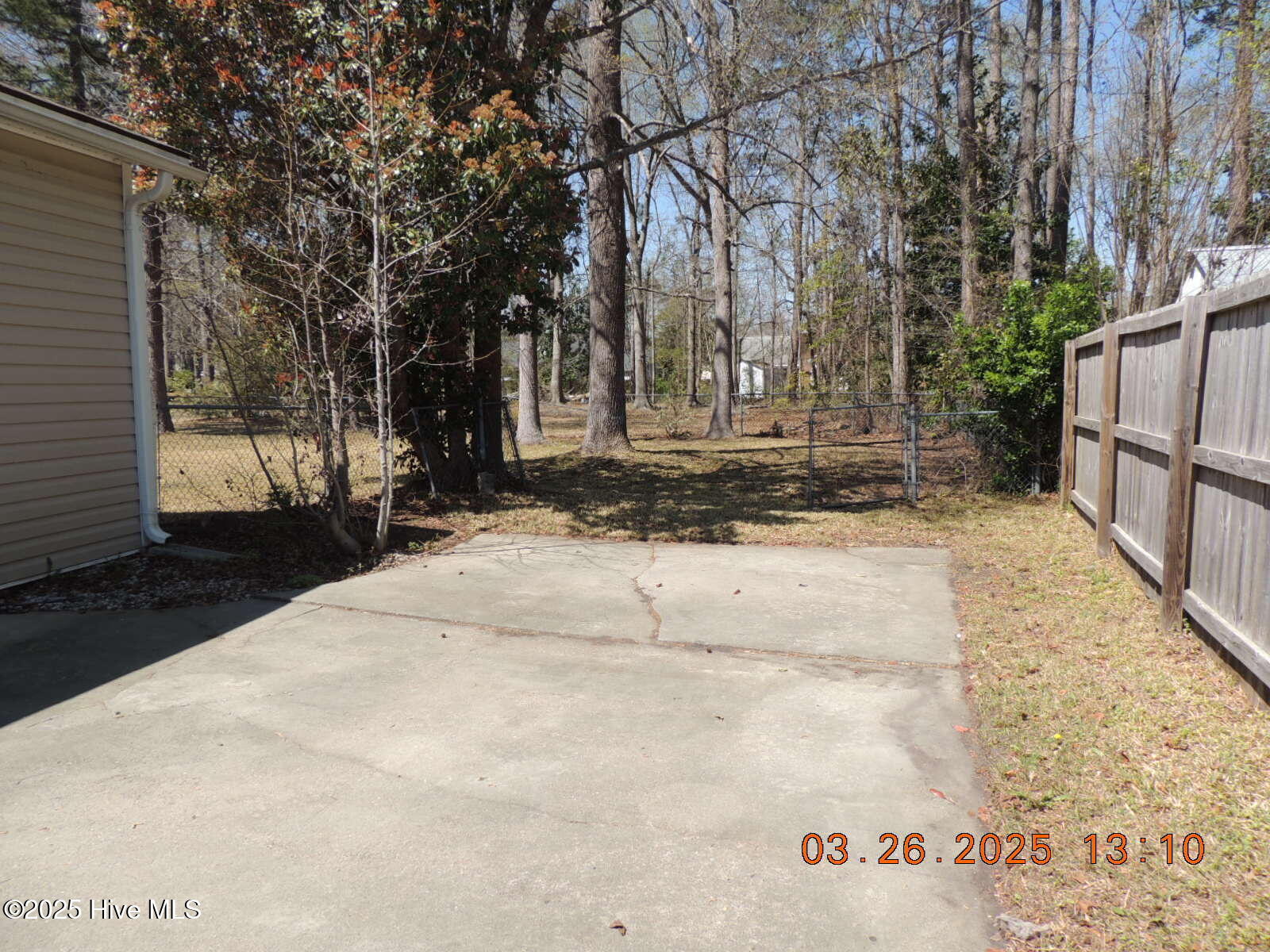 1403 Clifton Road Jacksonville, NC 28540 - Photo 19 of 22 DSCN8370