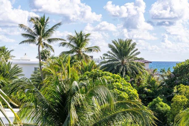 2401 North Ocean Boulevard, Unit 500 Fort Lauderdale, FL 33305 - Photo 25 of 38 a view of a palm plant in front of a building