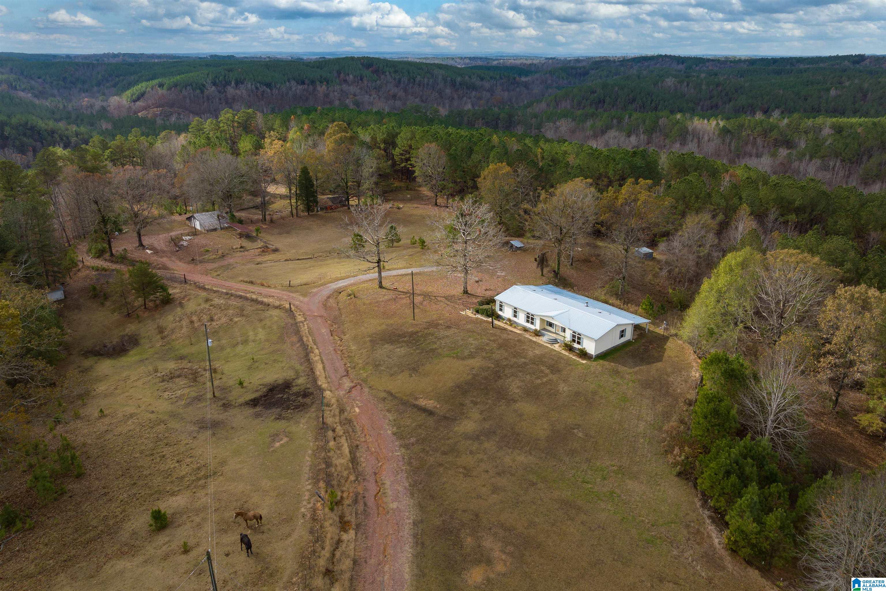 2930 Pridmore Road Quinton, AL 35130 - Photo 33 of 46