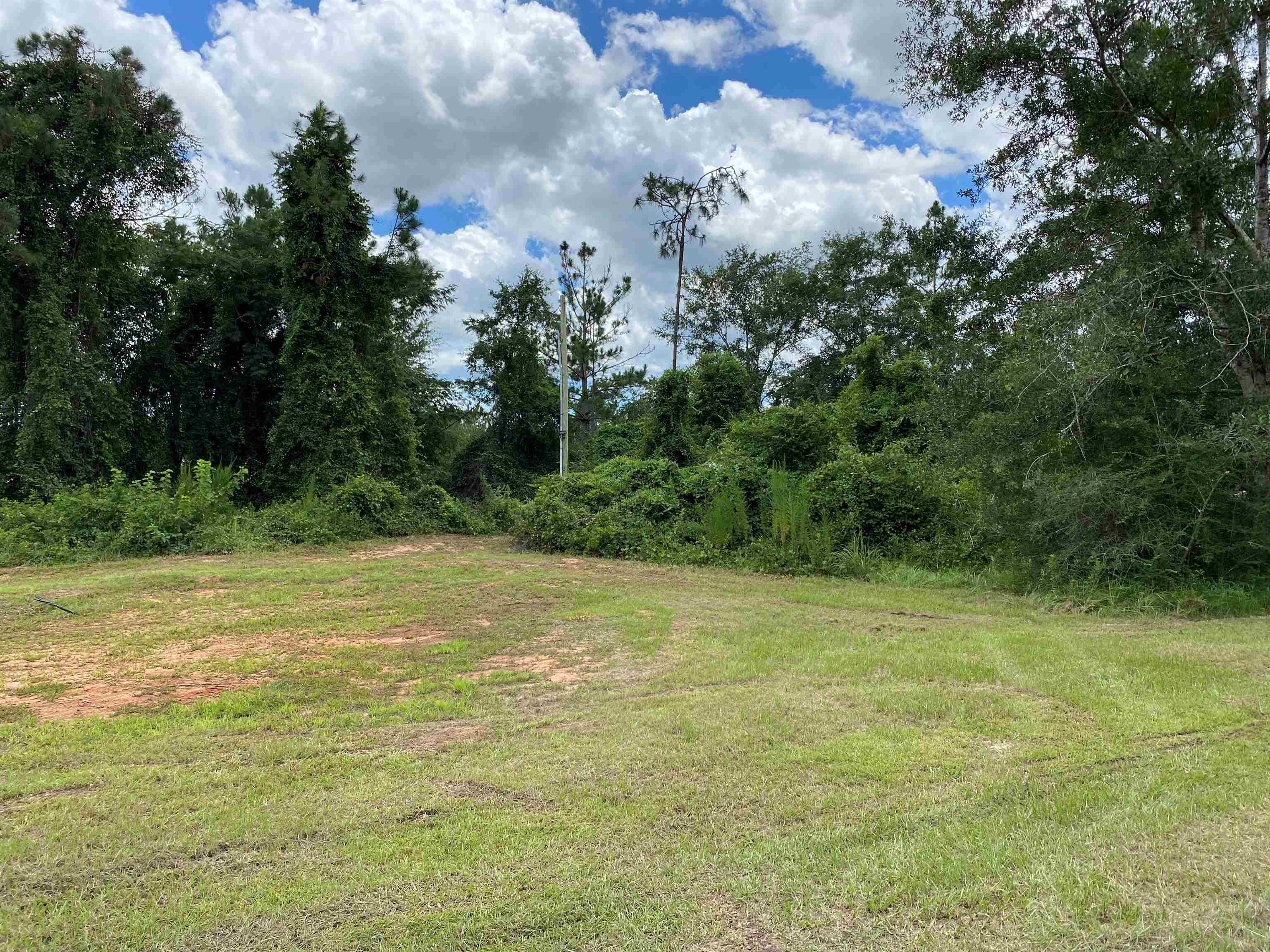 19345 Vaughn Road Seminole, AL 36574 - Photo 9 of 14