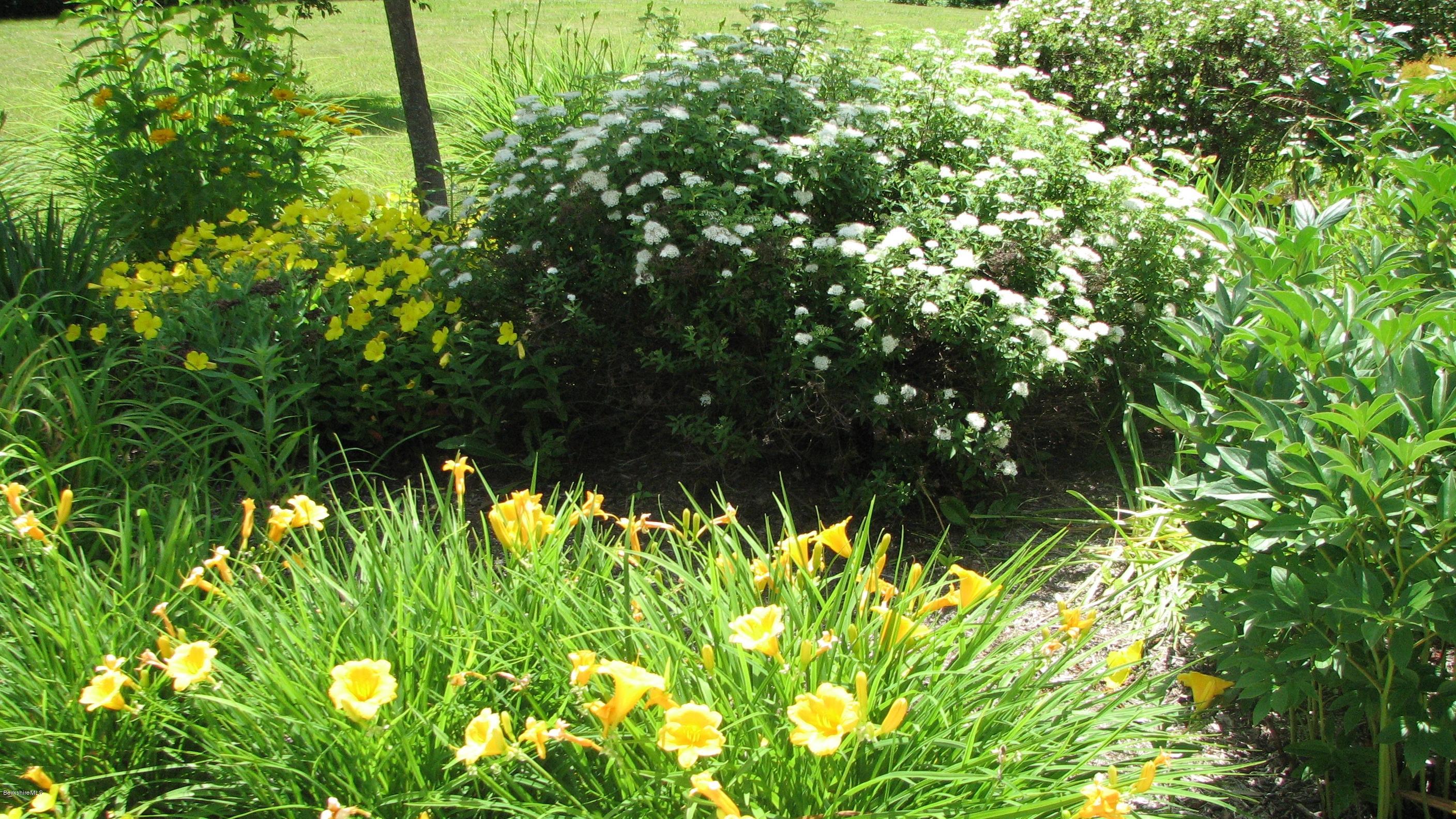 16 Hill Road Stockbridge, MA 01266 - Photo 18 of 20 a view of a garden