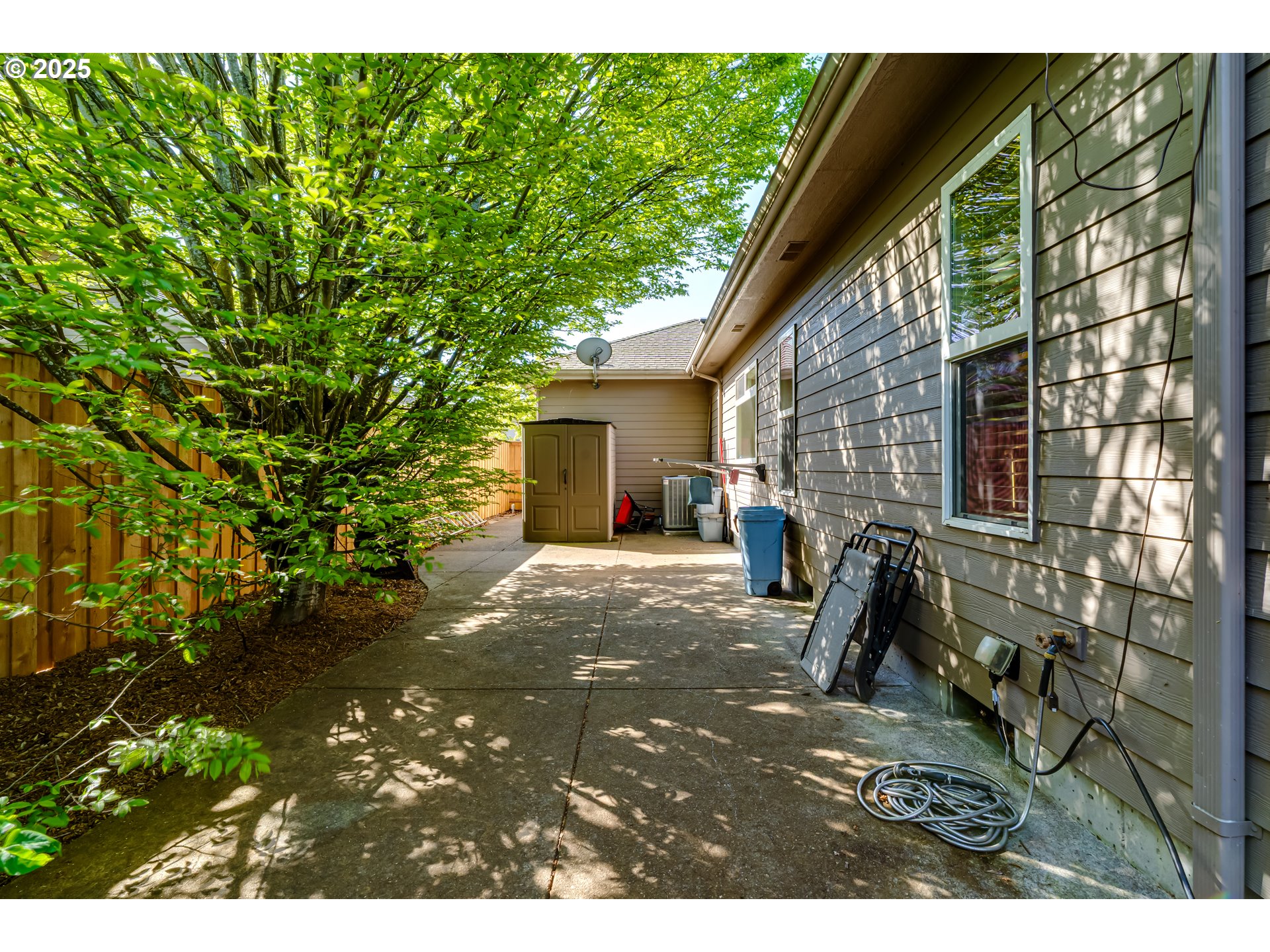 3351 Cape Hatteras Drive Eugene, OR 97408 - Photo 12 of 47 a view of a backyard with large trees and plants